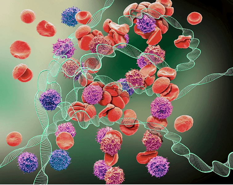 Природный иммунитет, I блок: психика и иммунитет