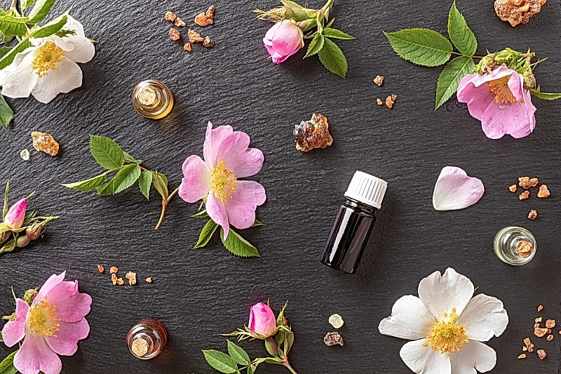 Основы ароматерапии: свойства и применение эфирных масел