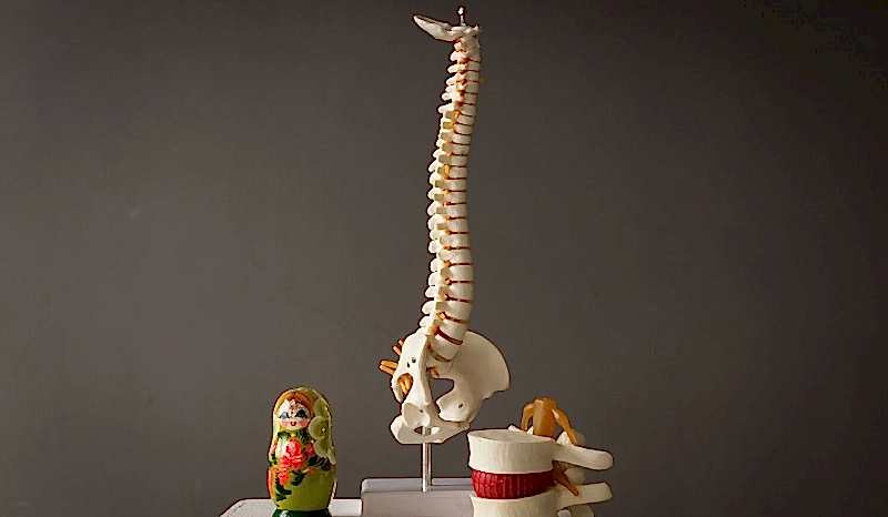 «Гомеопатическая йога ЛАМ» для позвоночника